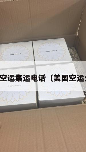 美国空运集运电话(美国空运公司)