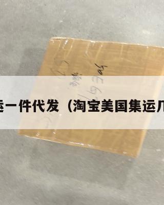 美国集运一件代发(淘宝美国集运几天能到)