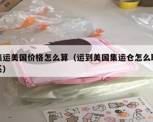 集运美国价格怎么算(运到美国集运仓怎么联系)
