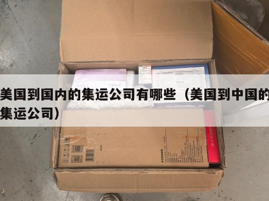 美国到国内的集运公司有哪些(美国到中国的集运公司)