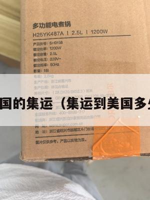寄美国的集运(集运到美国多少钱)