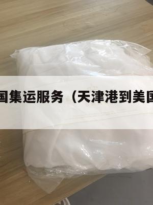 天津到美国集运服务(天津港到美国海运路线)