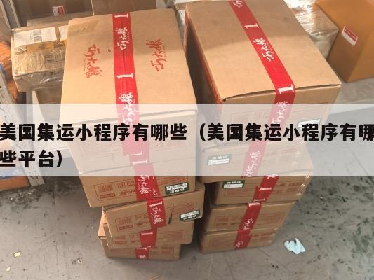 美国集运小程序有哪些(美国集运小程序有哪些平台)