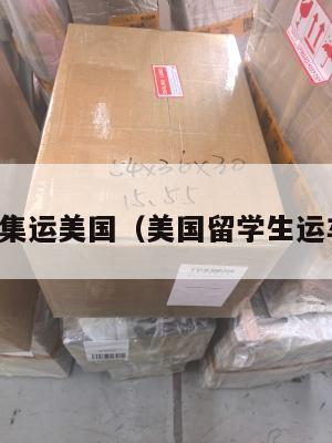 留学生集运美国(美国留学生运车回国)