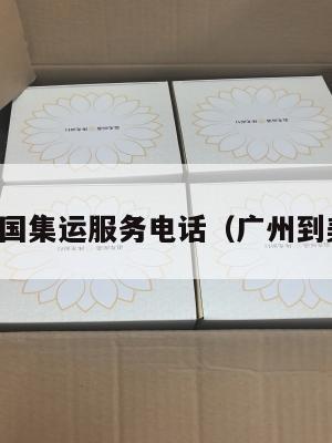 广州到美国集运服务电话(广州到美国货运)