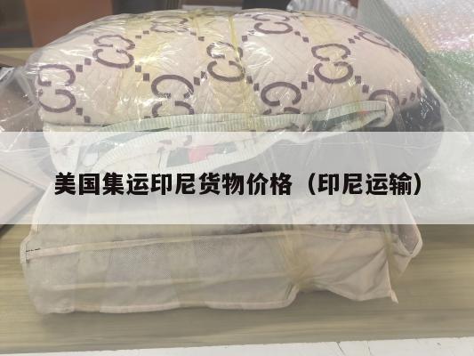 美国集运印尼货物价格(印尼运输)
