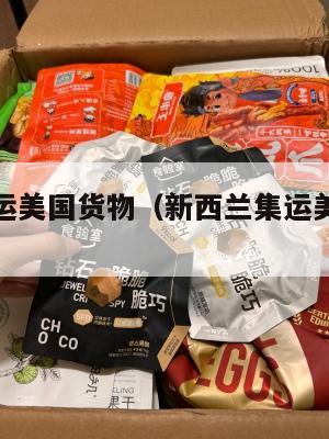 新西兰集运美国货物（新西兰集运美国货物价格）