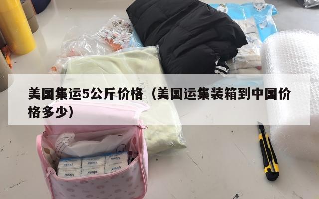 美国集运5公斤价格（美国运集装箱到中国价格多少）