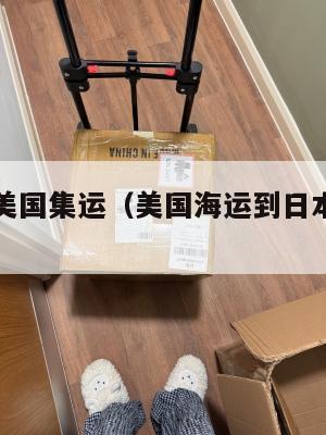 日本海运美国集运(美国海运到日本多长时间)