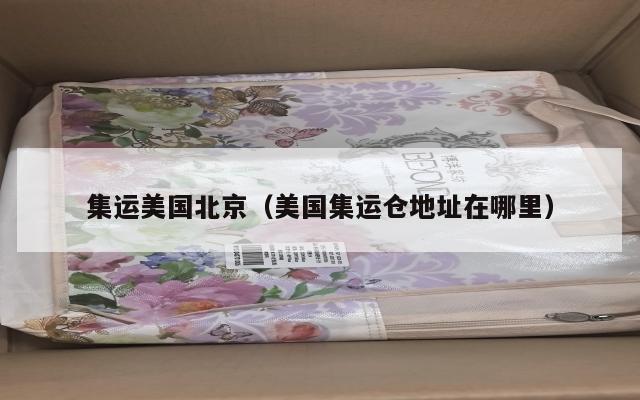 集运美国北京(美国集运仓地址在哪里)