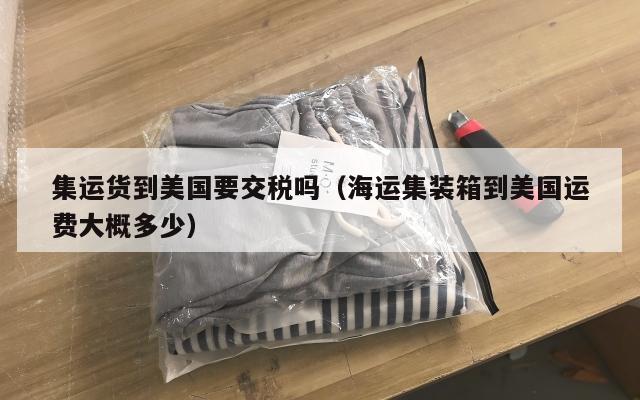 集运货到美国要交税吗（海运集装箱到美国运费大概多少）