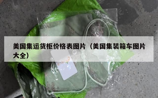 美国集运货柜价格表图片(美国集装箱车图片大全)
