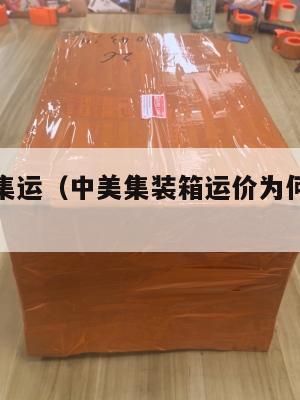 美国中美集运(中美集装箱运价为何暴涨频频爆仓?)