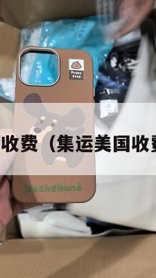 集运美国收费（集运美国收费标准表）
