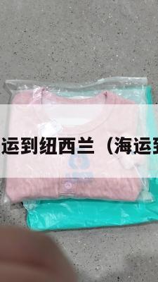 美国集运到纽西兰（海运到纽约）