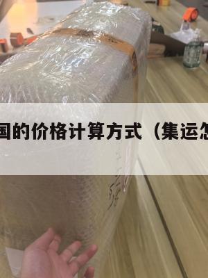 集运到美国的价格计算方式（集运怎么寄到美国）
