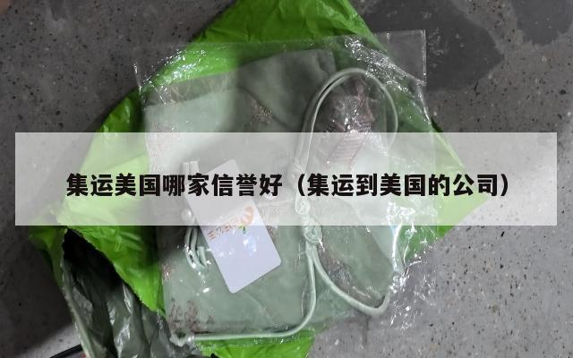 集运美国哪家信誉好（集运到美国的公司）