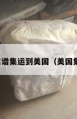 推荐靠谱集运到美国（美国集运仓）