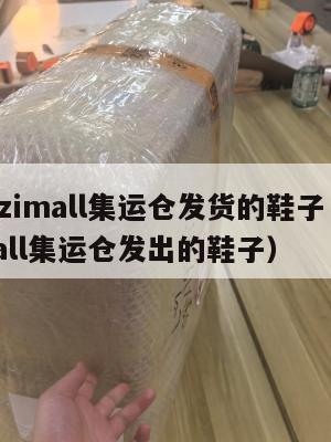 美国ezimall集运仓发货的鞋子(美国ezimall集运仓发出的鞋子)