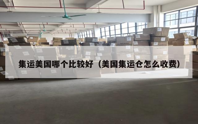 集运美国哪个比较好(美国集运仓怎么收费)