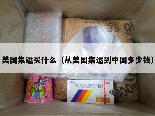 美国集运买什么(从美国集运到中国多少钱)