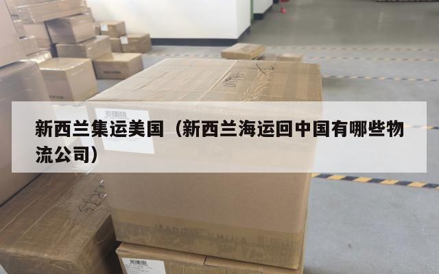 新西兰集运美国（新西兰海运回中国有哪些物流公司）