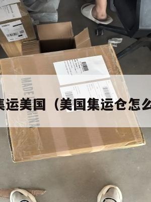 北京集运美国（美国集运仓怎么收费）