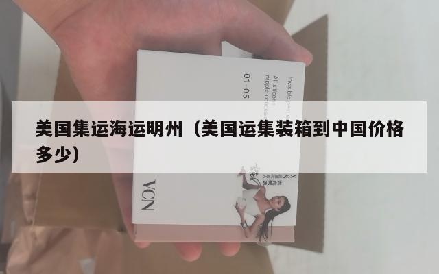 美国集运海运明州（美国运集装箱到中国价格多少）