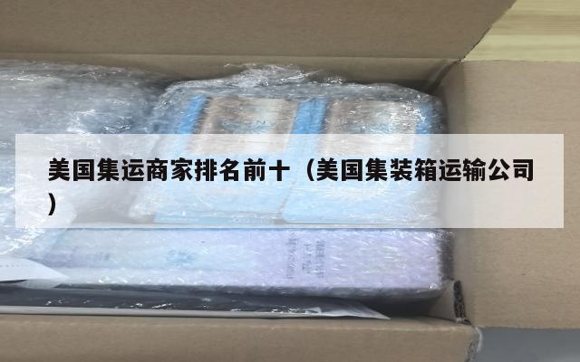 美国集运商家排名前十（美国集装箱运输公司）