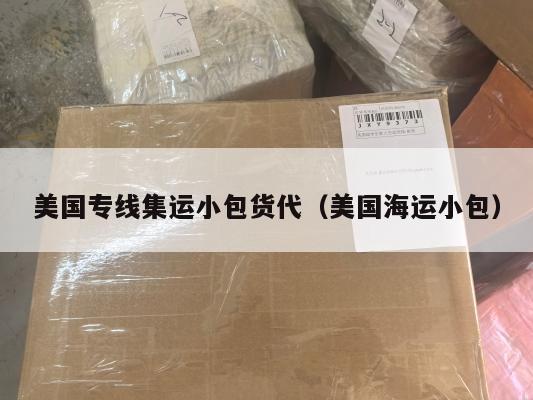美国专线集运小包货代(美国海运小包)