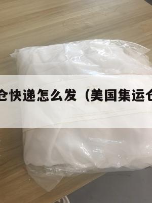 美国集运仓快递怎么发（美国集运仓快递怎么发货）