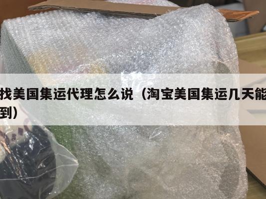 找美国集运代理怎么说(淘宝美国集运几天能到)