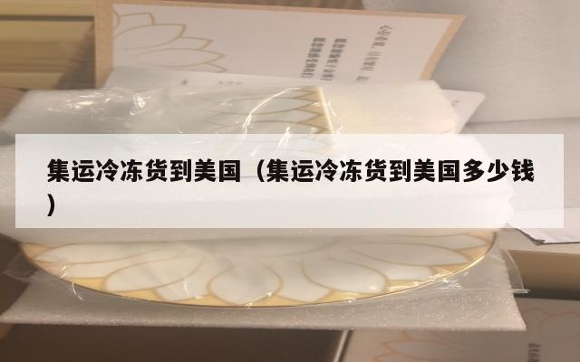 集运冷冻货到美国（集运冷冻货到美国多少钱）