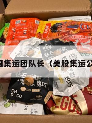 美国集运团队长(美股集运公司)