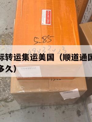 顺道通国际转运集运美国(顺道通国际转运集运美国要多久)