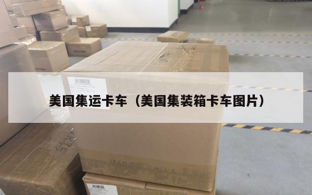 美国集运卡车（美国集装箱卡车图片）