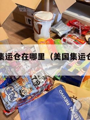 美国空运集运仓在哪里（美国集运仓地址在哪里）