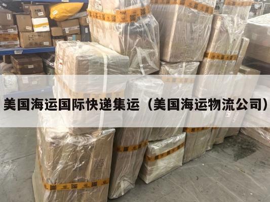 美国海运国际快递集运(美国海运物流公司)