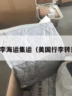 美国行李海运集运(美国行李转运回国)