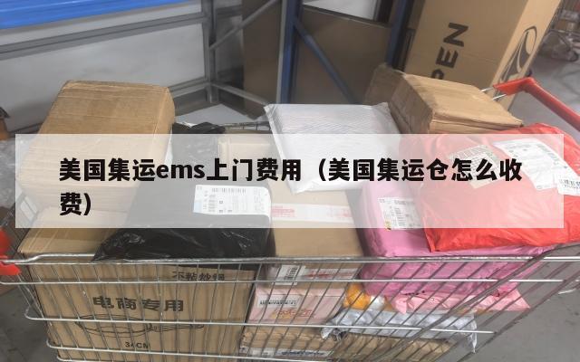 美国集运ems上门费用(美国集运仓怎么收费)