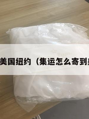 集运美国纽约(集运怎么寄到美国)