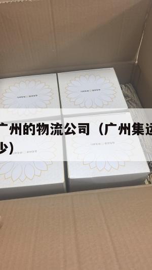 集运美国广州的物流公司(广州集运仓寄到美国运费多少)