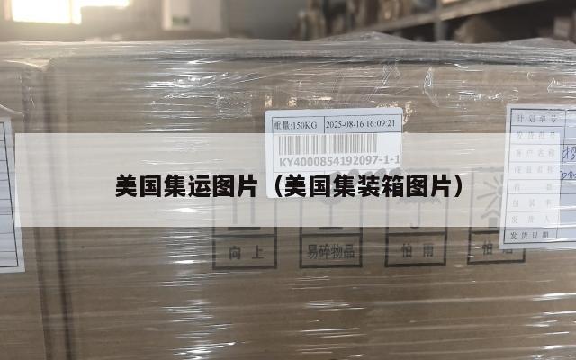 美国集运图片（美国集装箱图片）