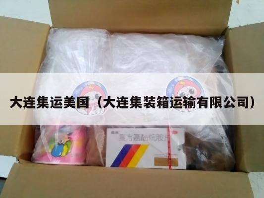 大连集运美国(大连集装箱运输有限公司)
