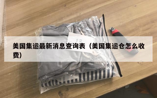 美国集运最新消息查询表(美国集运仓怎么收费)