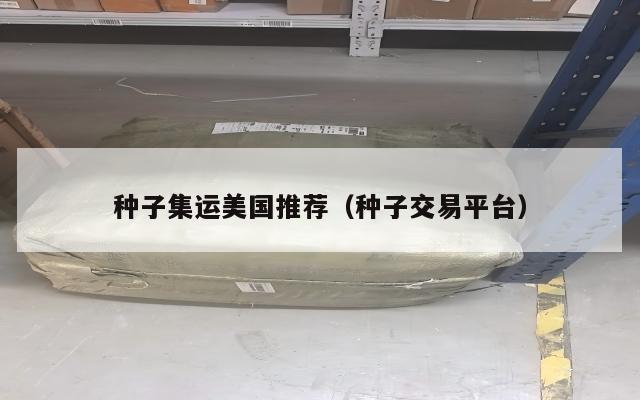 种子集运美国推荐（种子交易平台）