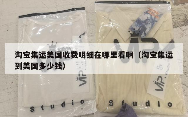 淘宝集运美国收费明细在哪里看啊（淘宝集运到美国多少钱）