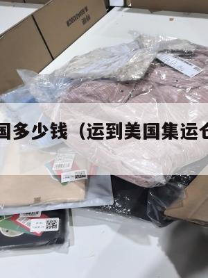 集运到美国多少钱（运到美国集运仓怎么联系）