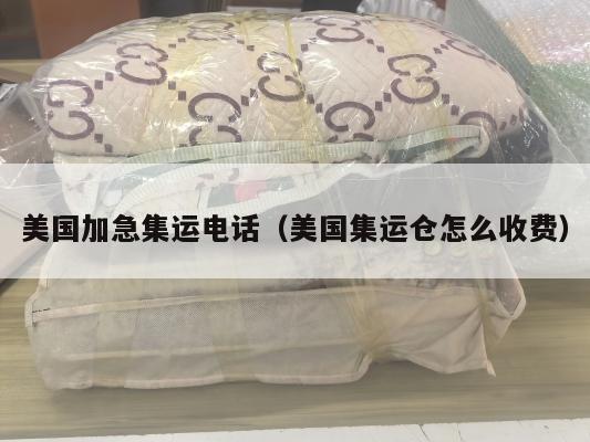 美国加急集运电话（美国集运仓怎么收费）