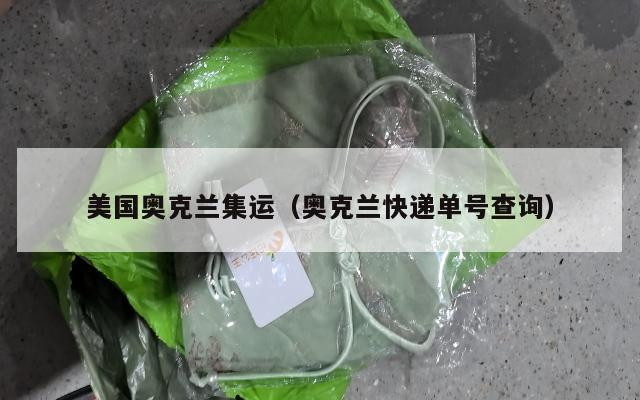 美国奥克兰集运（奥克兰快递单号查询）